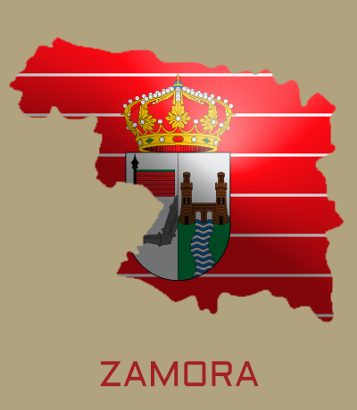Formación-RED-Zamora